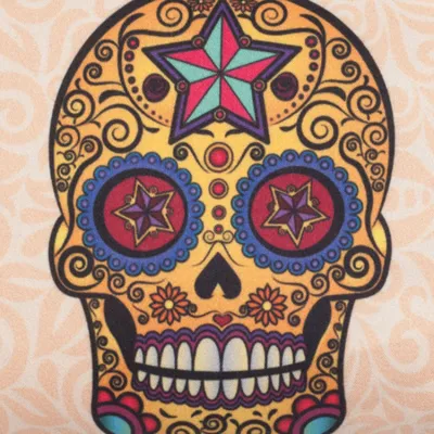 Nuevo estilo Colorful Skull Print conjunto de brochas con bolsa Kit de maquillaje para señoras cosméticos portátil Bolsa de cosméticos de etiqueta privada