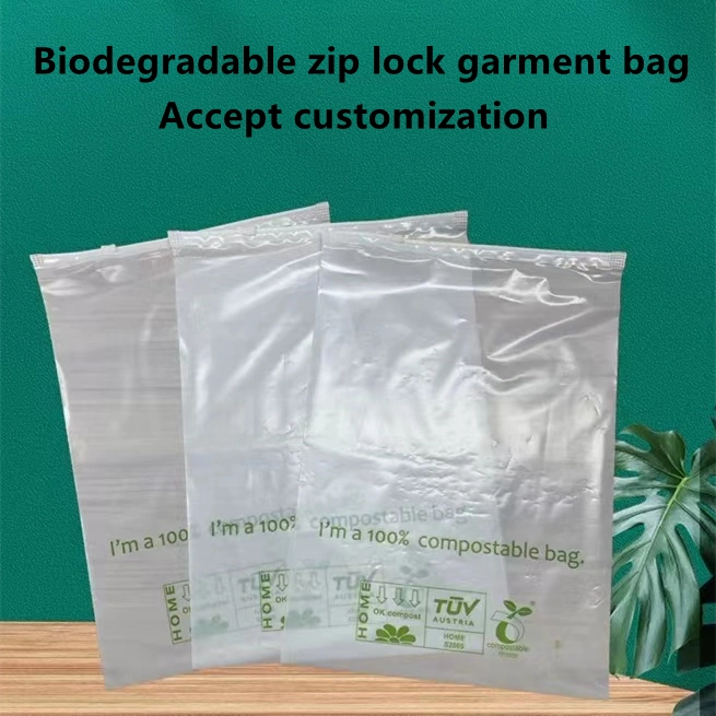 Custom Transparent Zipper Clothes Biodegradable Garment Bag Ziplock Plastic Clothes Underwear Sock Package Bag