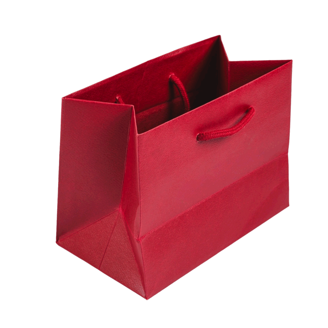 Customized Red Color Paper Bag Packaging Bag Cosmetic Bag Shopping Bag with Handle