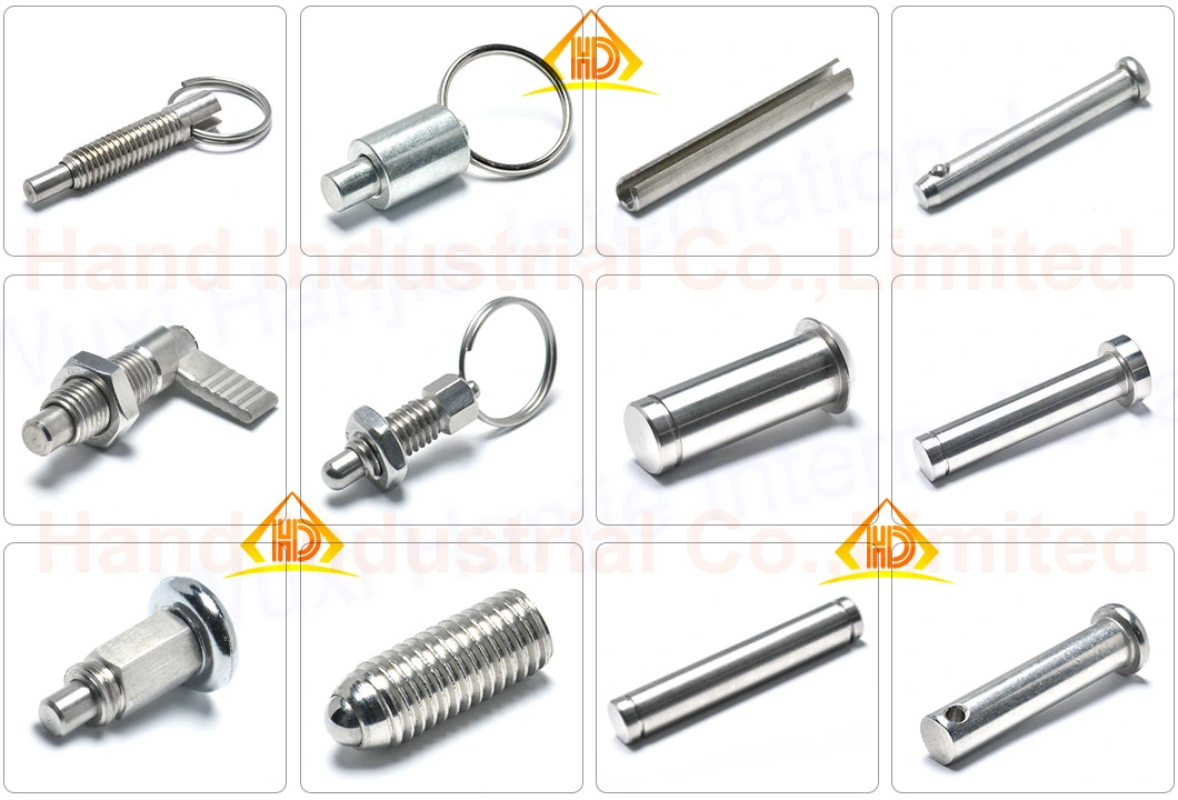 Stainless Steel 303 Self Locking Reset M6 M8 M10 M12 M16 Pull Knob Ring Hand Retractable Safety Mini Indexing Plunger