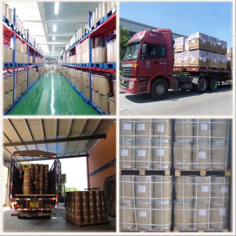 Factory Supply Douglas Fir Extract Taxifolin Powder Antioxidant Dihydroquercetin 50%-90%