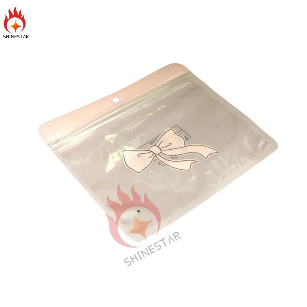 Zipper Plastic Packaging Bag for Underwear Clothes Garment Mask