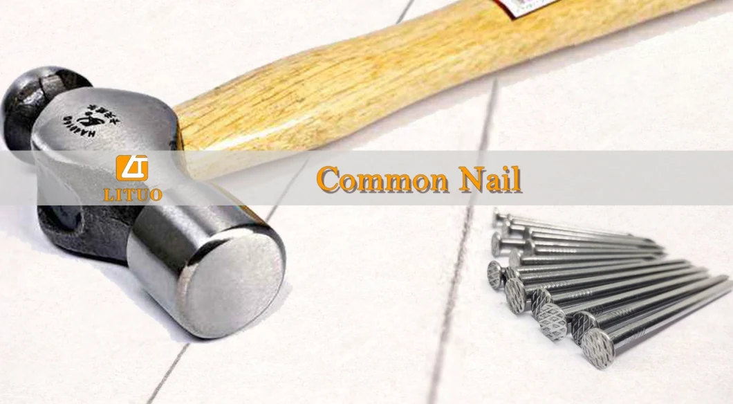 High Quality and Competitive Price Polished Common Nails