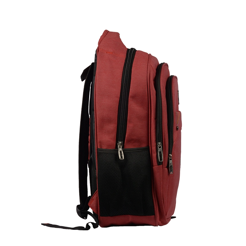 Business Travel Laptop Backpack Outdoor Hiking Backpacks for School College Bag