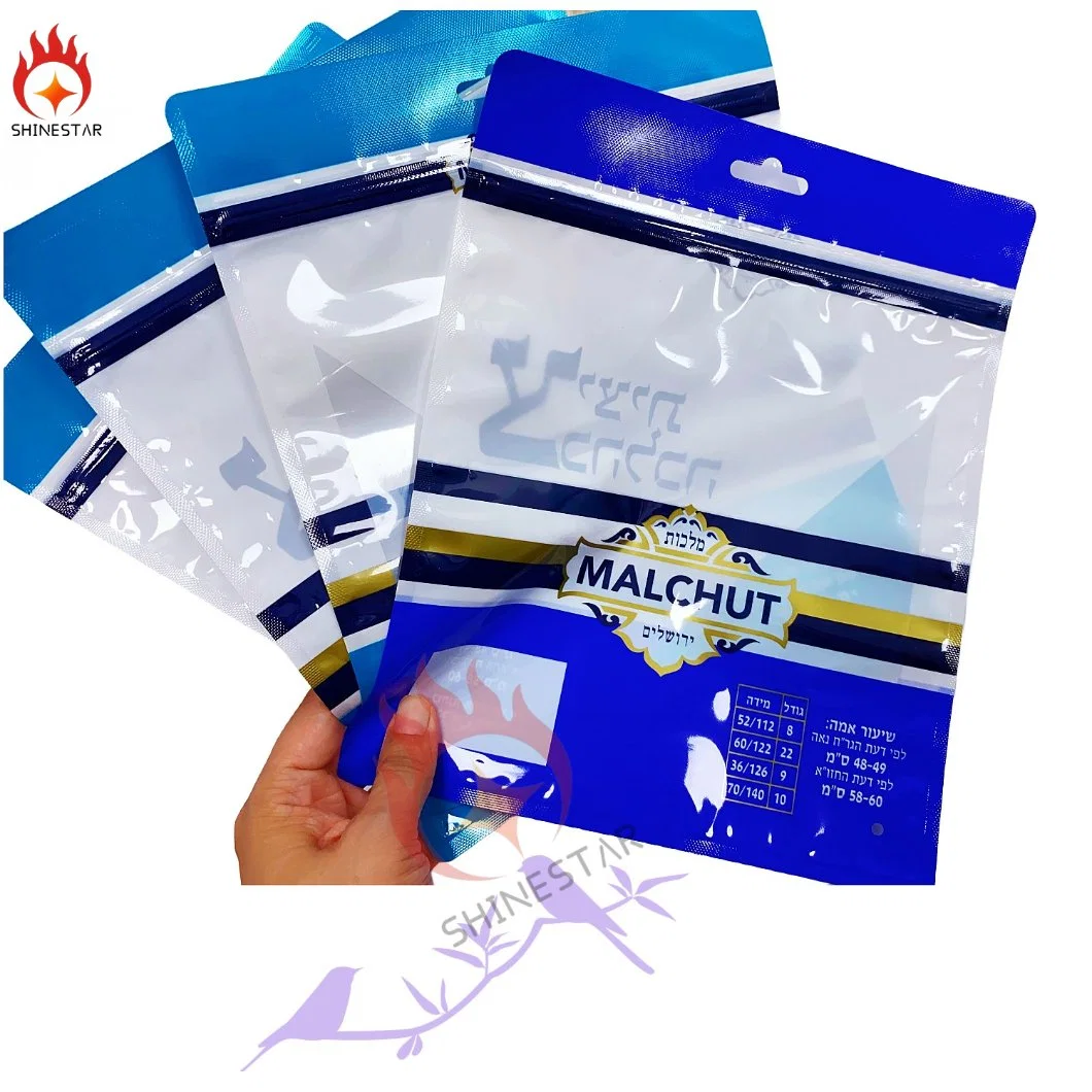 Zipper Plastic Packaging Bag for Underwear Clothes Garment Mask