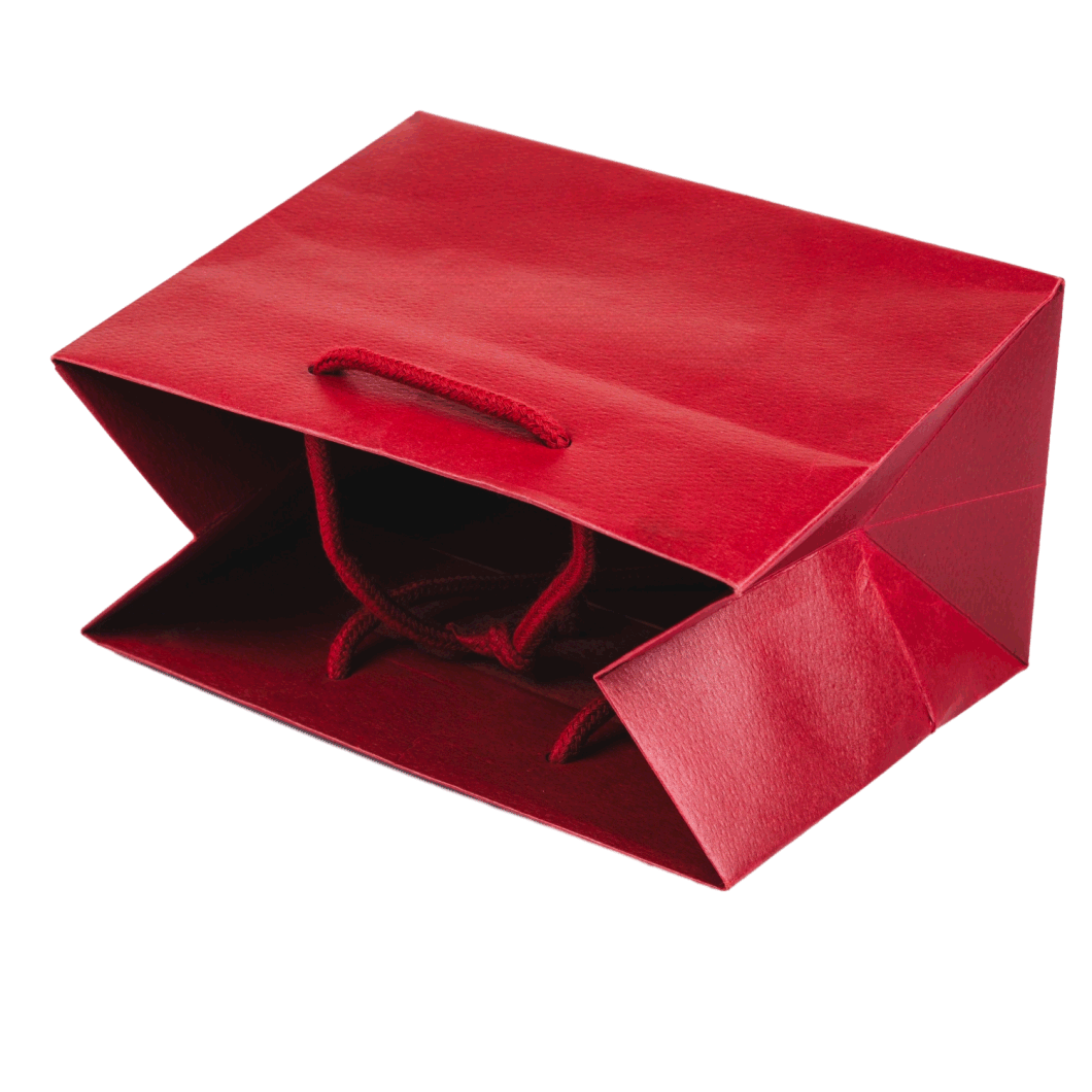 Customized Red Color Paper Bag Packaging Bag Cosmetic Bag Shopping Bag with Handle