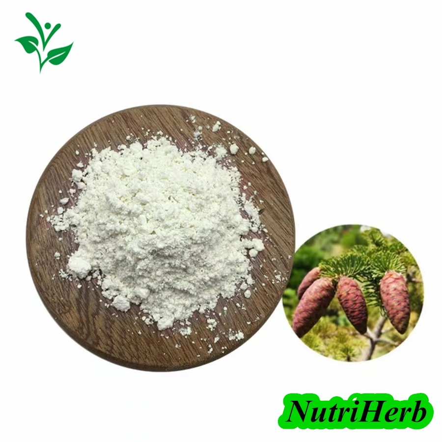 Factory Supply Douglas Fir Extract Taxifolin Powder Antioxidant Dihydroquercetin 50%-90%