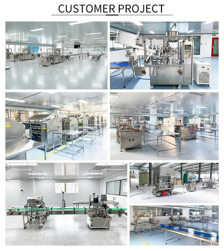 Automatic Shampoo Packing Machine Liquid Milk Juice Drinking Water Sachet Liquid Packing Machine with Bags