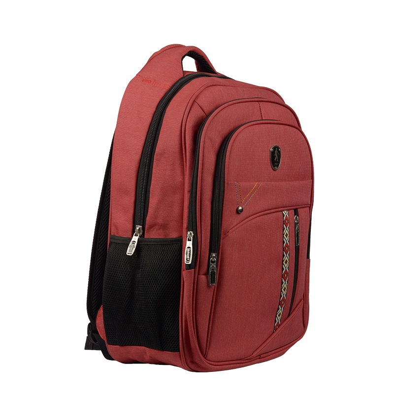 Business Travel Laptop Backpack Outdoor Hiking Backpacks for School College Bag