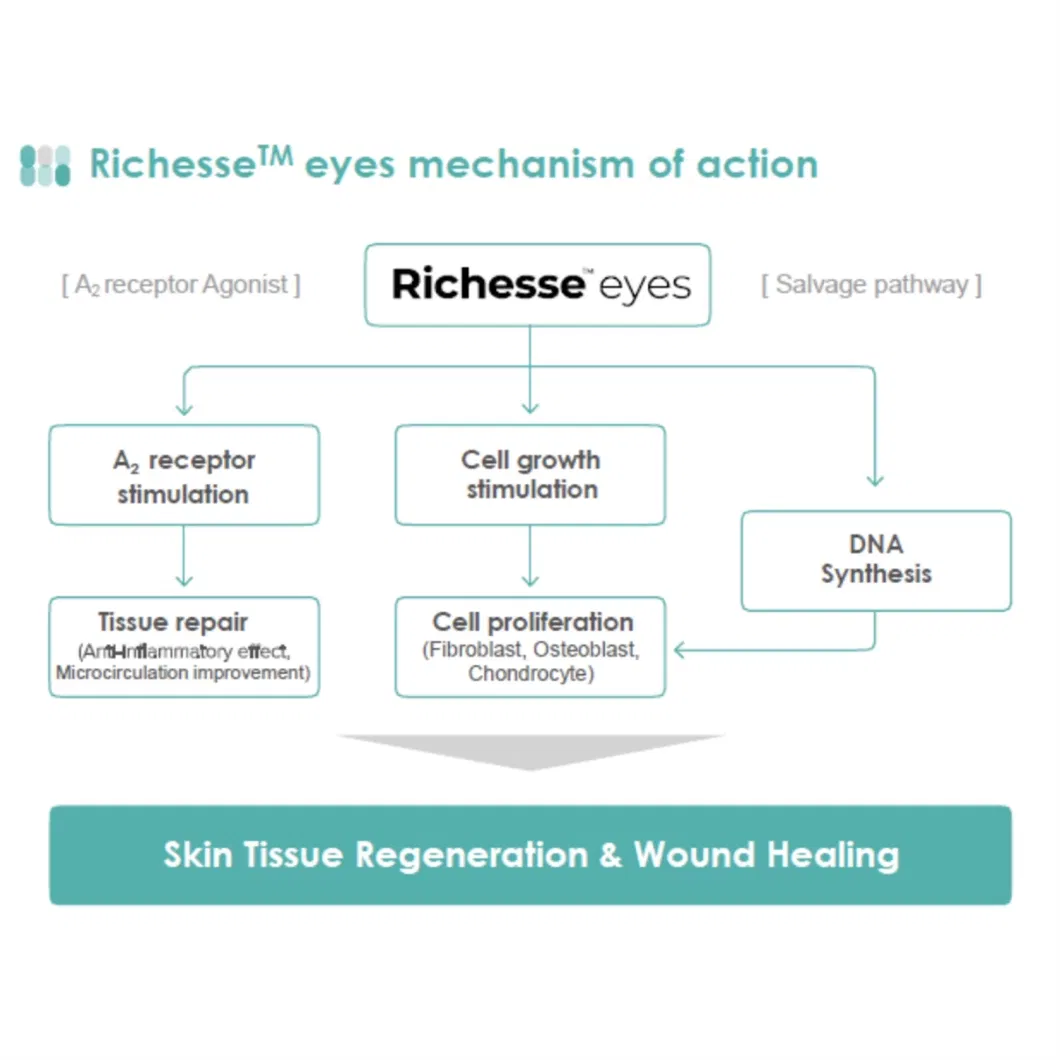 Richesse Eyes Pn Skin Booster Salmon DNA Anti-Aging Hyaluronic Acid Injection for Skin Regenerative Remove Bags and Dark Circles Ender The Eyes