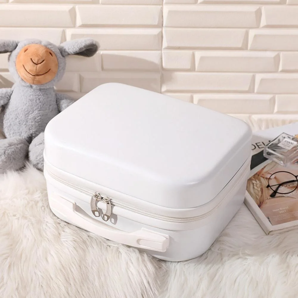 Portable Luggage Small Storage Box Travel Suitcase Mini Cosmetic Bag Bl19995