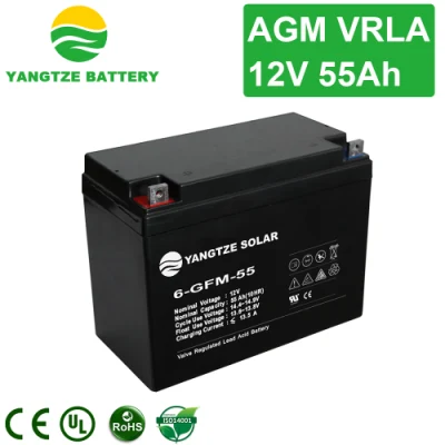  Yangtze 3 anni di garanzia Deep Cycle piombo acido 55 ah a secco Custodia per batteria per sistema solare