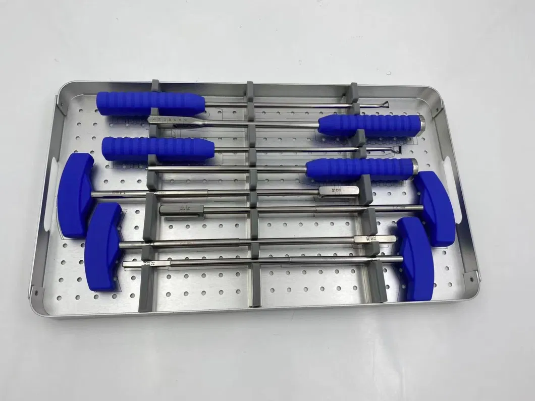 Orthopedic Instruments Lumbar Titanium Cage Instrument Case