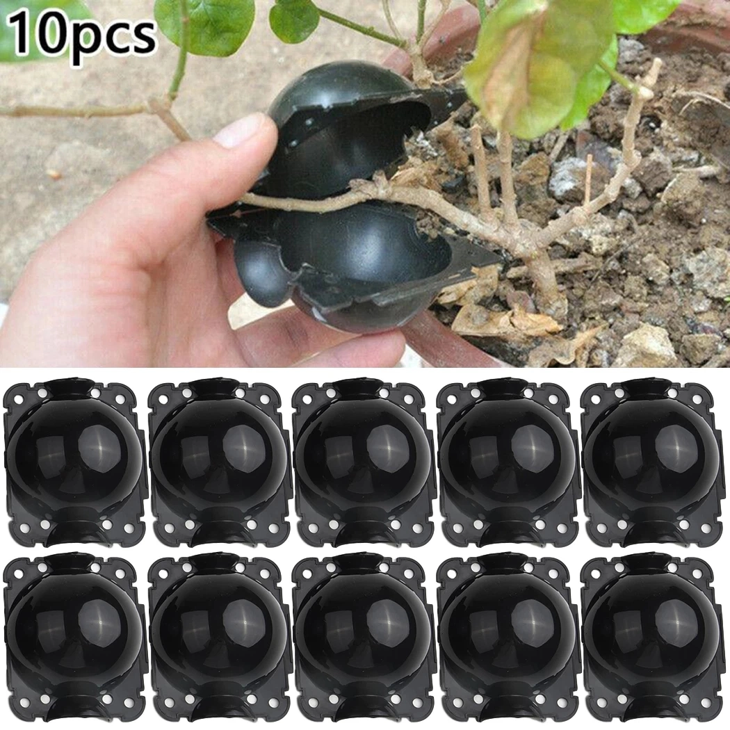 10 PCS Plant Rooting Equipment High Pressure Propagation Ball Growing Box Breeding Case for Garden Graft Box Sapling