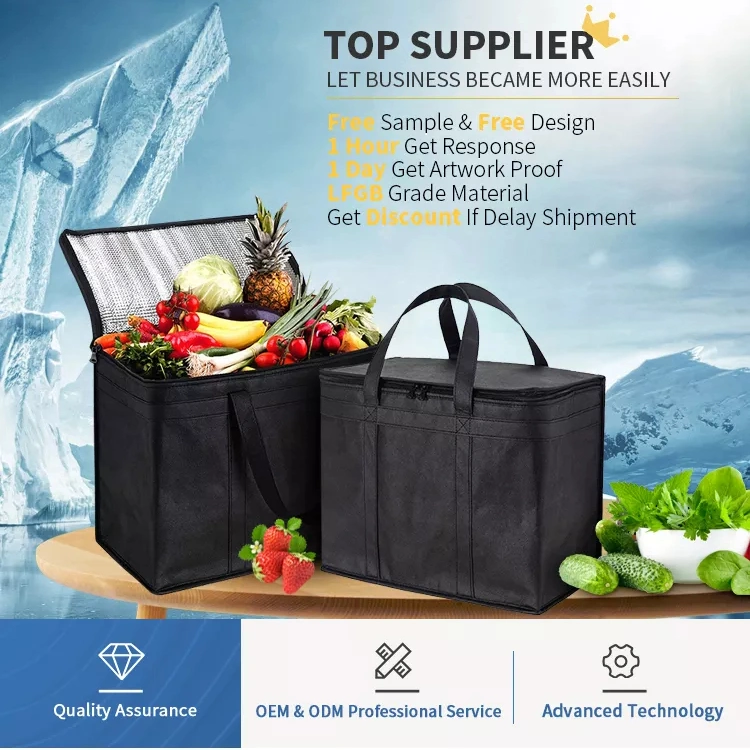 Lunch Cooler Non Woven Tote Bag with Zipper Free Sample Small Bottle Thermal Cooler Bag for Food Waterproof Non-Woven Insulated Cooler Lunch Bag
