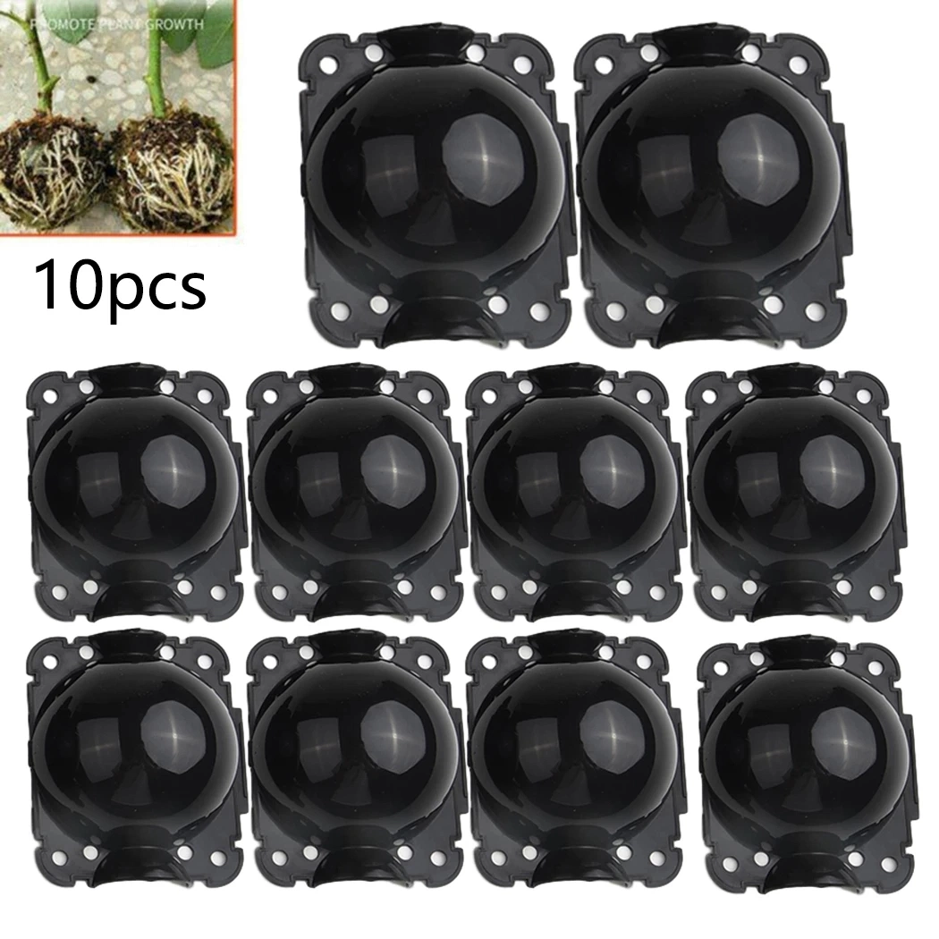 10 PCS Plant Rooting Equipment High Pressure Propagation Ball Growing Box Breeding Case for Garden Graft Box Sapling