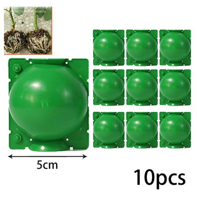 10PCS Plant Rooting Equipment High Pressure Propagation Ball Graft Box Breeding Case for Garden Graft Box Sapling