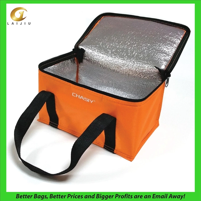 Insulated Promotional Can Cooler Bags for Food Package, Insulated Picnic Lunch Bag Large Soft Cooler Bag for Outdoor/Camping/BBQ/Travel