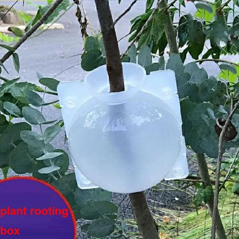 Plant Rooting Ball Case Box Reusable Transparent High Pressure Grafting Garden Graft Root Growing Box Tree Breeding Container