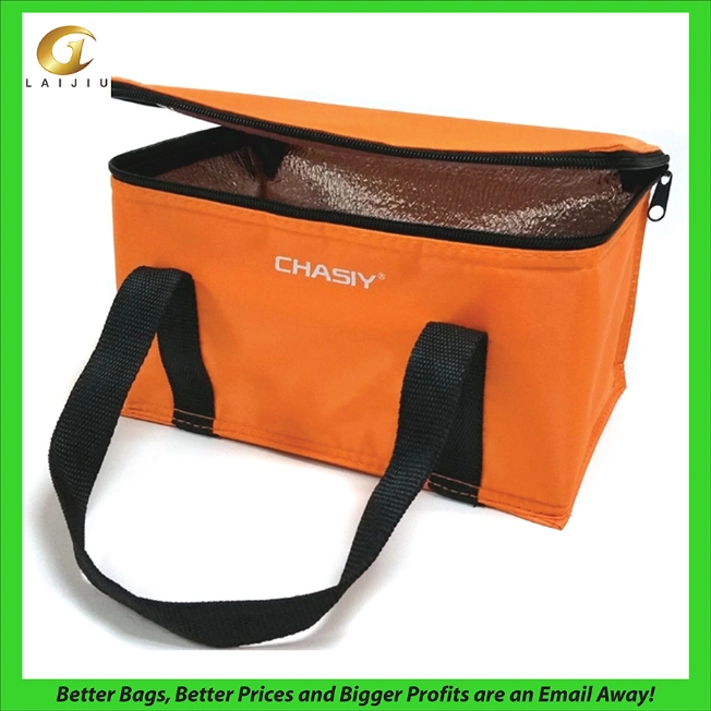 Insulated Promotional Can Cooler Bags for Food Package, Insulated Picnic Lunch Bag Large Soft Cooler Bag for Outdoor/Camping/BBQ/Travel