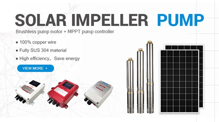 2inch Outlet Solar Water Borehole Pump Kit Immersed Best Quality Solar Pumps for Irrigation in Thailand