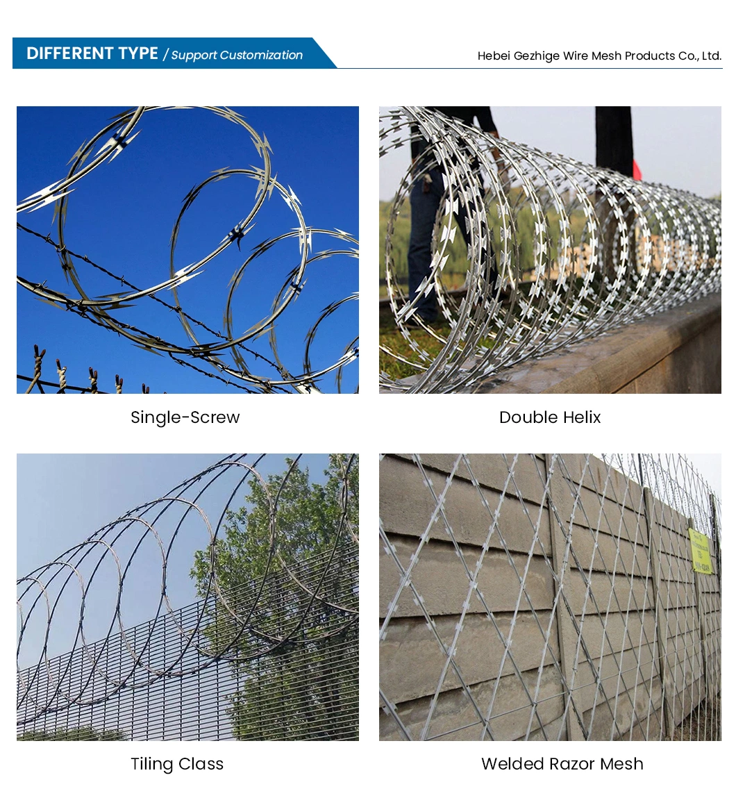 Gezhige Tensioning Barbed Wire Suppliers 5mm Needle Length Galvanized Concertina Razor Wire China Bright Surface Barbed Razor Barbed Wire