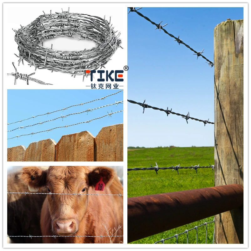 Barbed Wire Roll /Razor Barbed Wire Fence /25 Feet 18 Gauge 4 Point Barb Wire