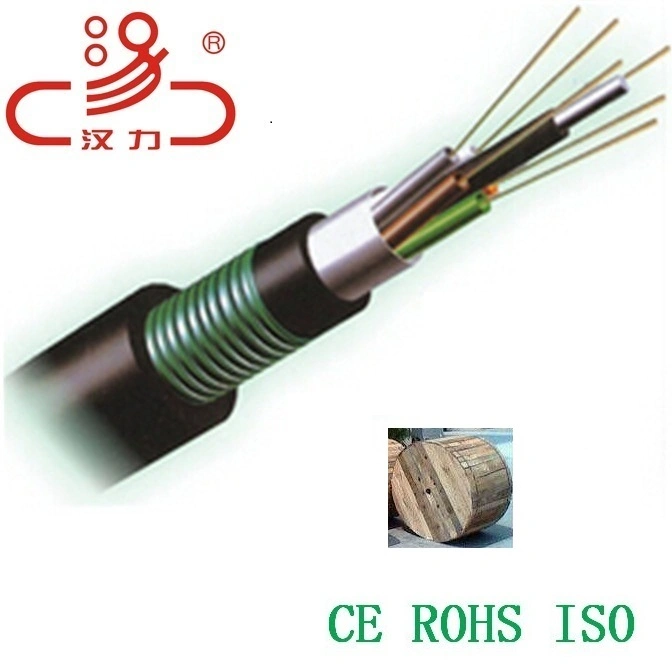 Basic Customization Central Loose Tube GYTA53 Fiber Optic Cable/Computer Cable/Communication Cable/Audio Cable