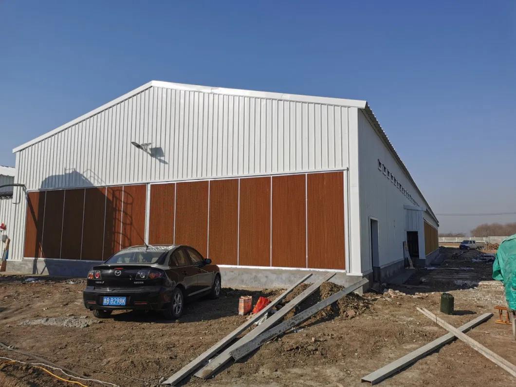 Steel Construction Prefabricated Broiler Chicken House