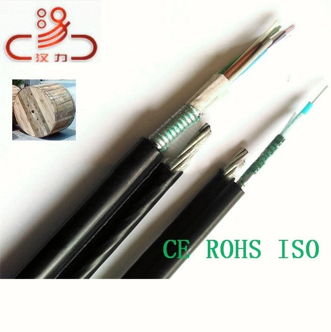 Basic Customization Central Loose Tube GYTA /ADSS Fiber Optic Cable 2-144 Core