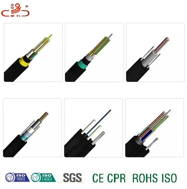 Basic Customization Central Loose Tube GYTA /ADSS Fiber Optic Cable 2-144 Core