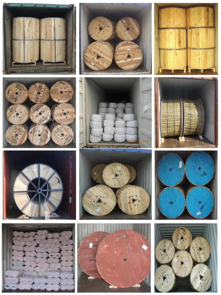 China Factory Ground Rod Conductor Wire Bare Copper Clad Steel Ground Stranded Wire