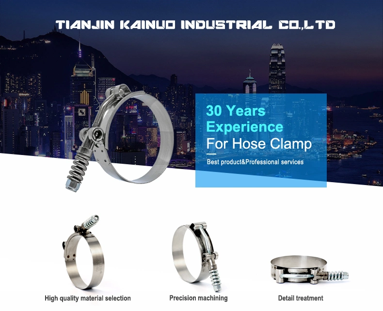 High Pressure Spring Loaded Stainless Steel Constant Tension T-Bolt Clamp for Turbo Automotive, Control Area 92-100mm