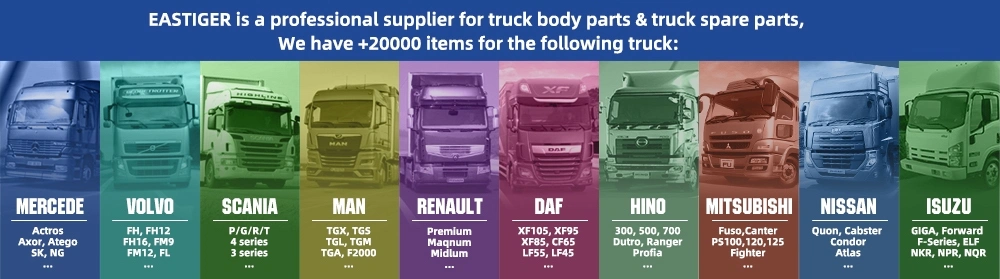 Over 1000 Items with Quality Warranty for Scania Heavy Duty Trucks Bus Spare Parts G, R, T Series Tapffer Brand