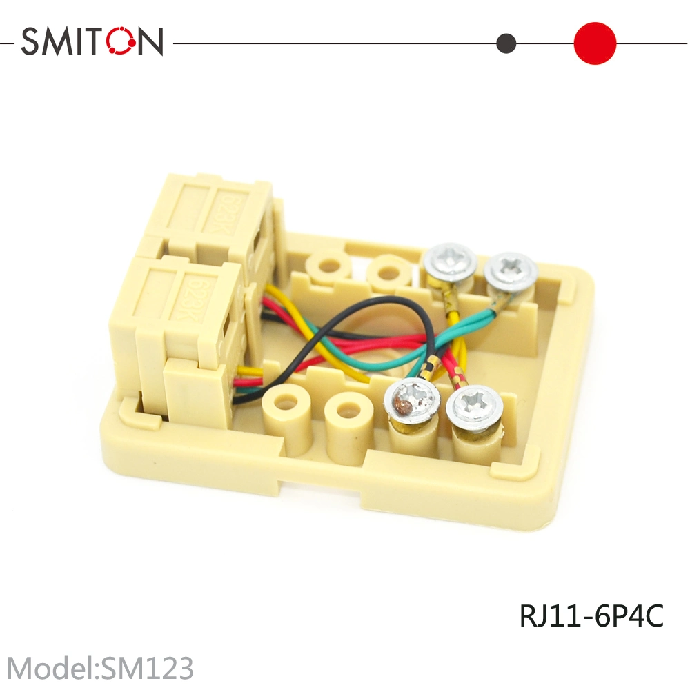 Dual Ports ABS Rj11 6p4c Modular Telephone Terminal Junction Box