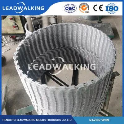  Leadwalking Spanndraht Herstellung 19 Stränge Stahldraht Verzinkt Rasiermesser Stacheldraht China Helle Oberfläche Billig Rasiermesser Stacheldraht