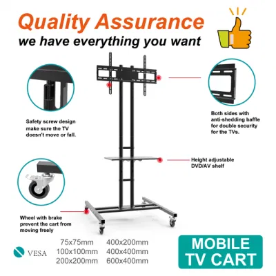 Wirtschaftlicher TV-Trolley-Ständer für 30&quot;-55&quot;, TV-Trolley-Designs (CT-FTVS-T131)