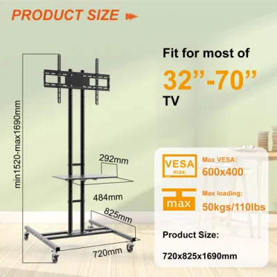 Wirtschaftlicher TV-Trolley-Ständer für 30&quot;-55&quot;, TV-Trolley-Designs (CT-FTVS-T131)