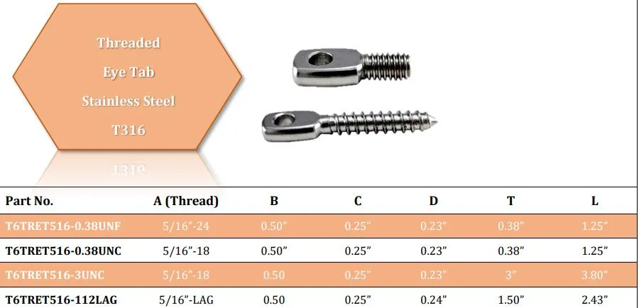 Stainless Steel 316 Lag Screw for Wood Deck