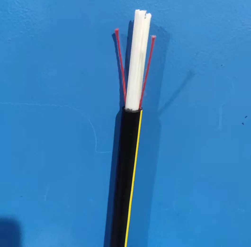 12 24 48 Core FRP Armored Rat-Proof Bird-Proof ADSS Optic Fiber Cable