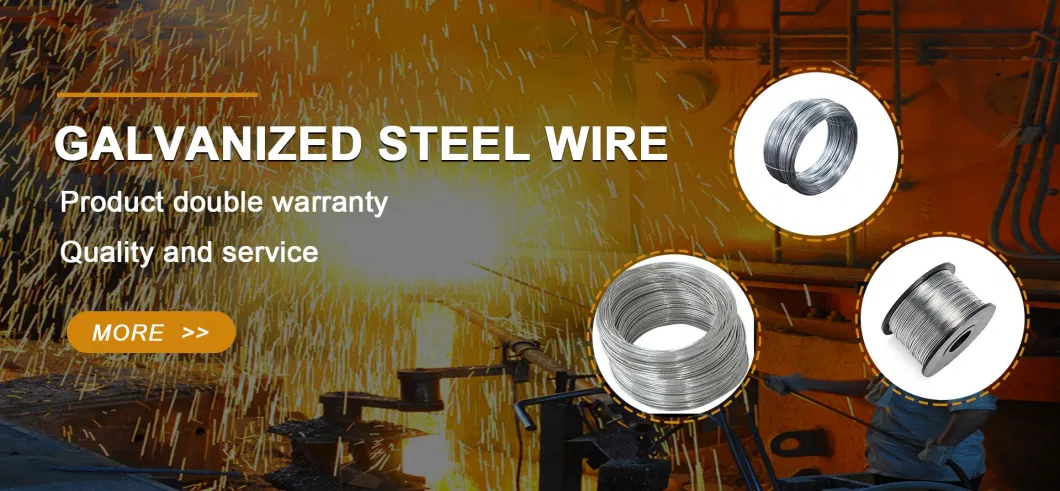 Good Quality Manufacturer Supply Gi Steel Wire Rod