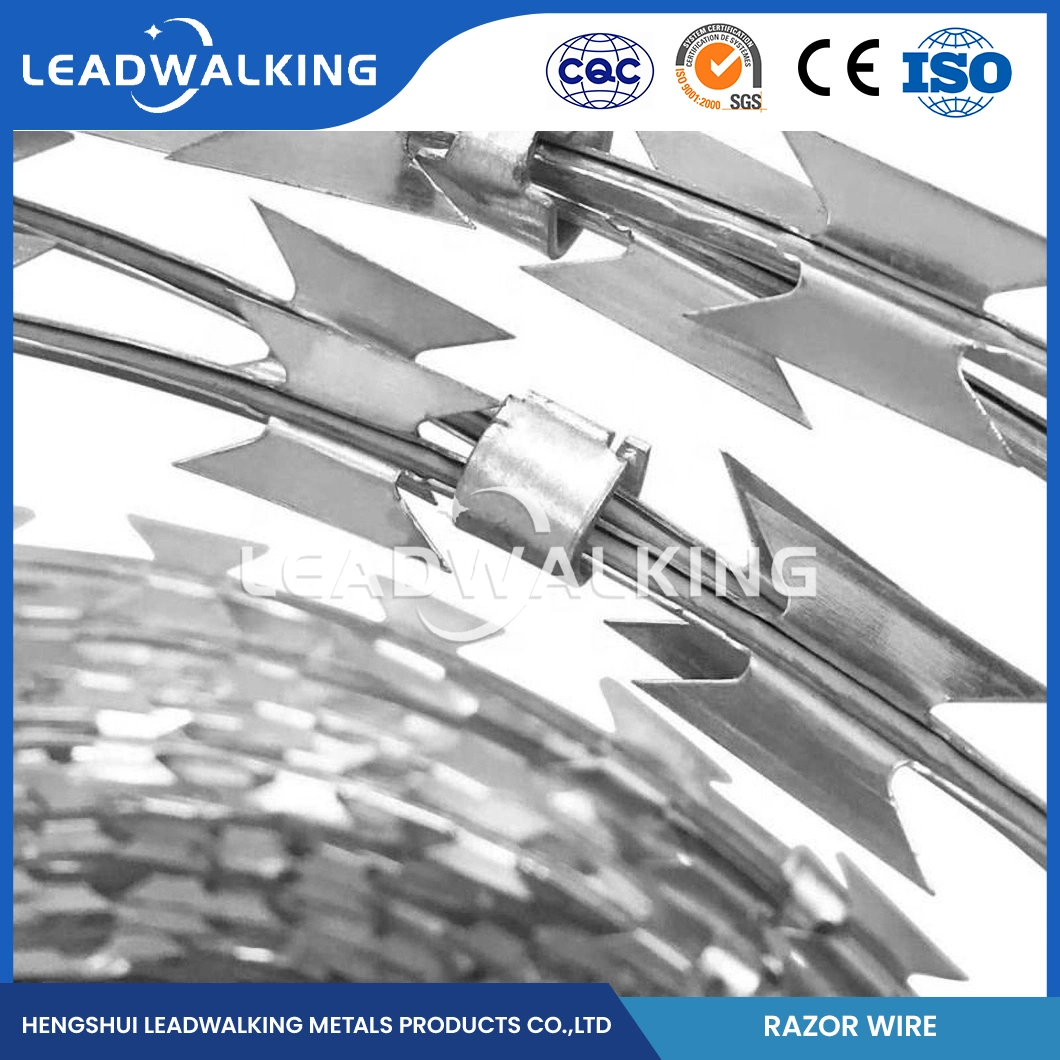 Leadwalking Tensioning Barbed Wire Manufacturing 19 Strands Steel Wire Galvanised Razor Barbed Wire China Bright Surface Cheap Razor Barbed Wire