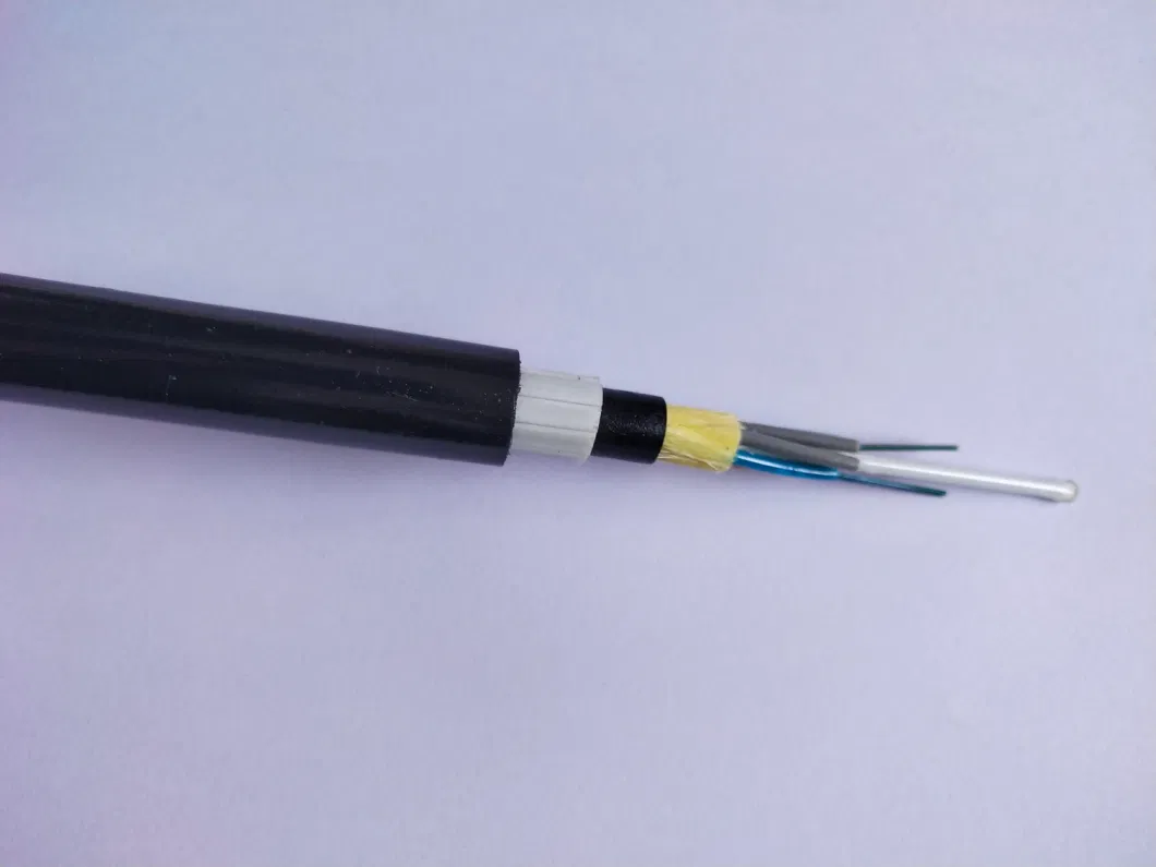 12 24 48 Core FRP Armored Rat-Proof Bird-Proof ADSS Optic Fiber Cable