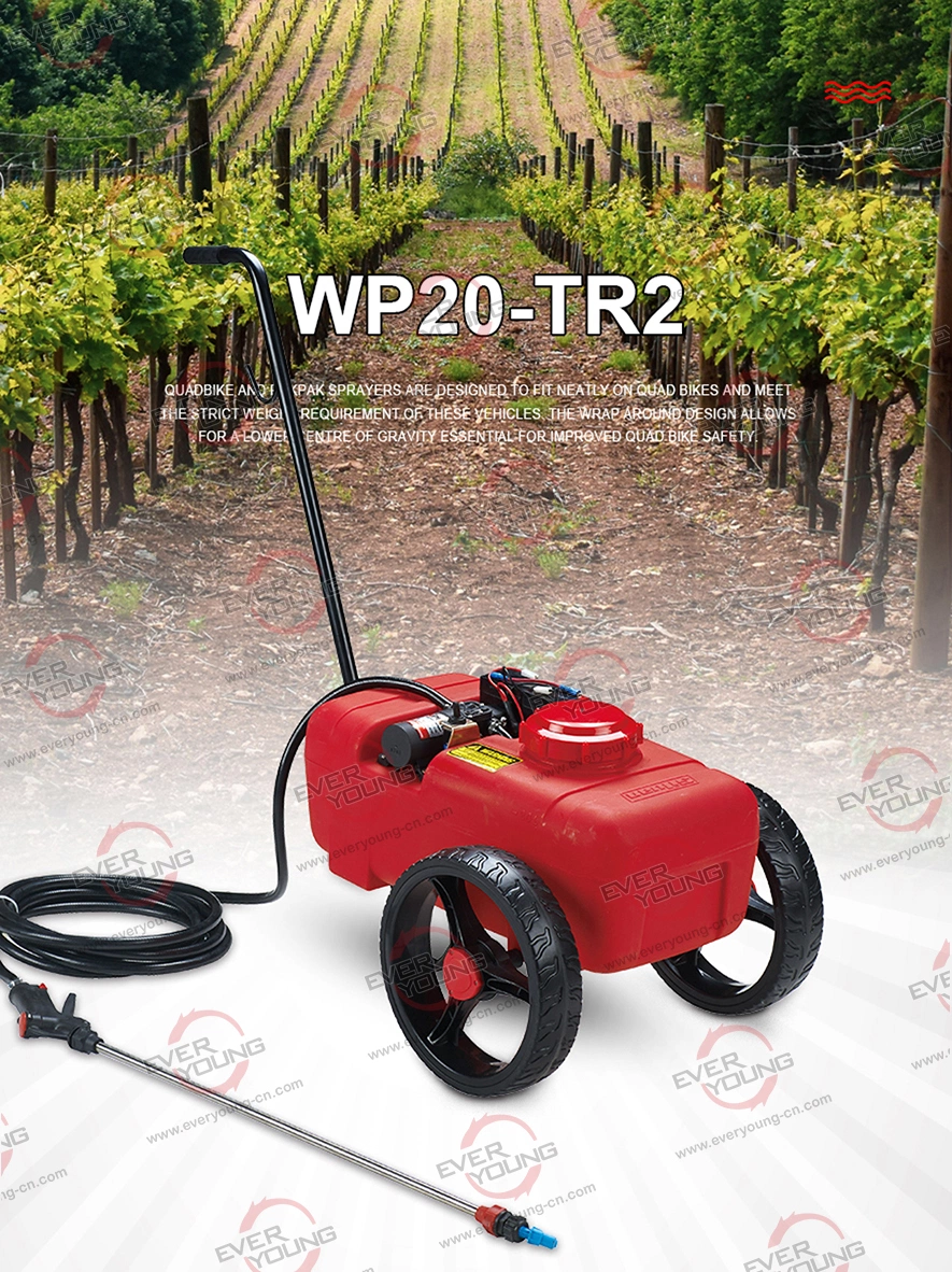 Hand Push 20L ATV Sprayer for Agricultural with 12V Chemical Pump