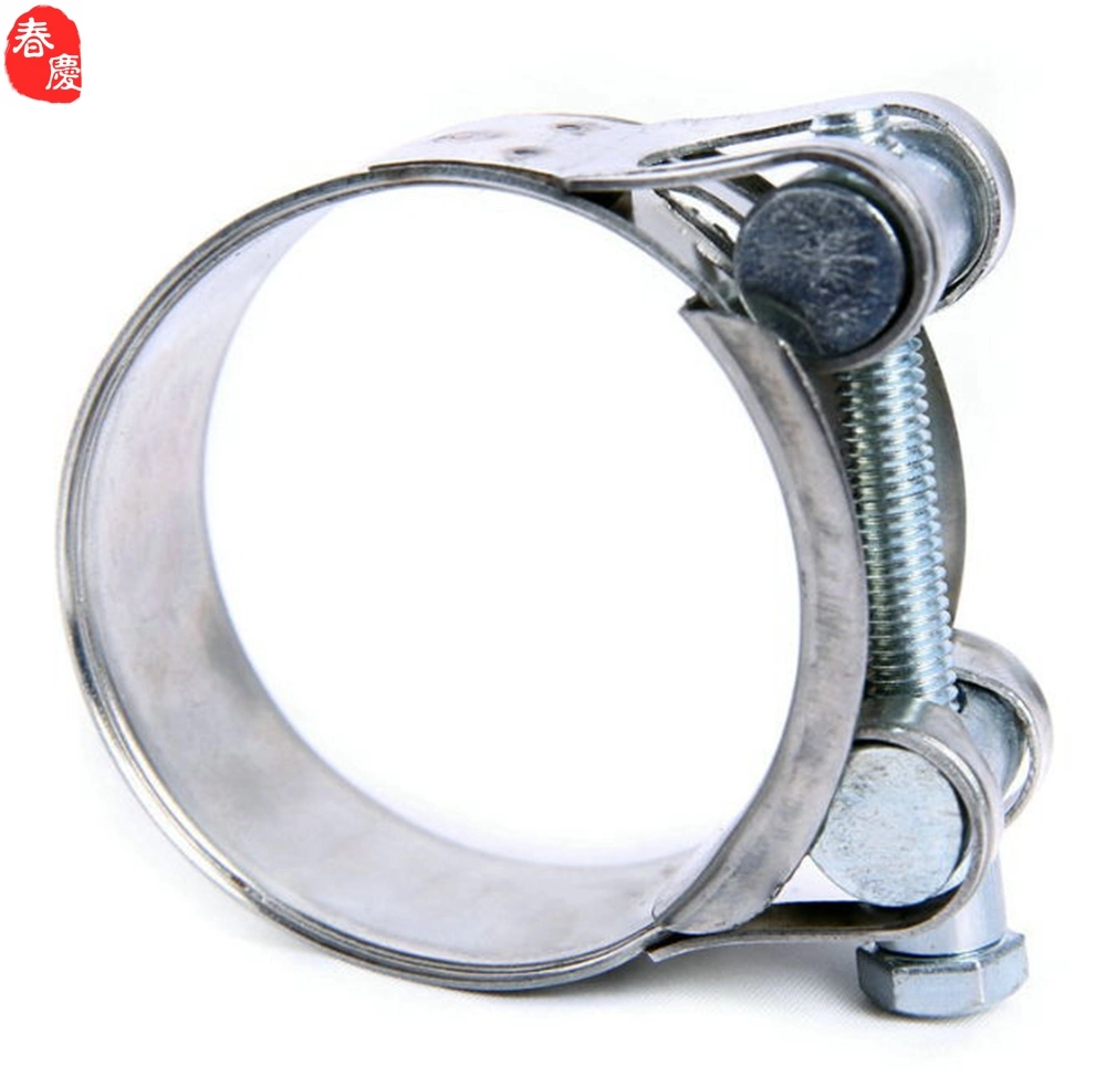 High Quality Stainless Steel T Bolt Spring Clip Tension Hose Clamp