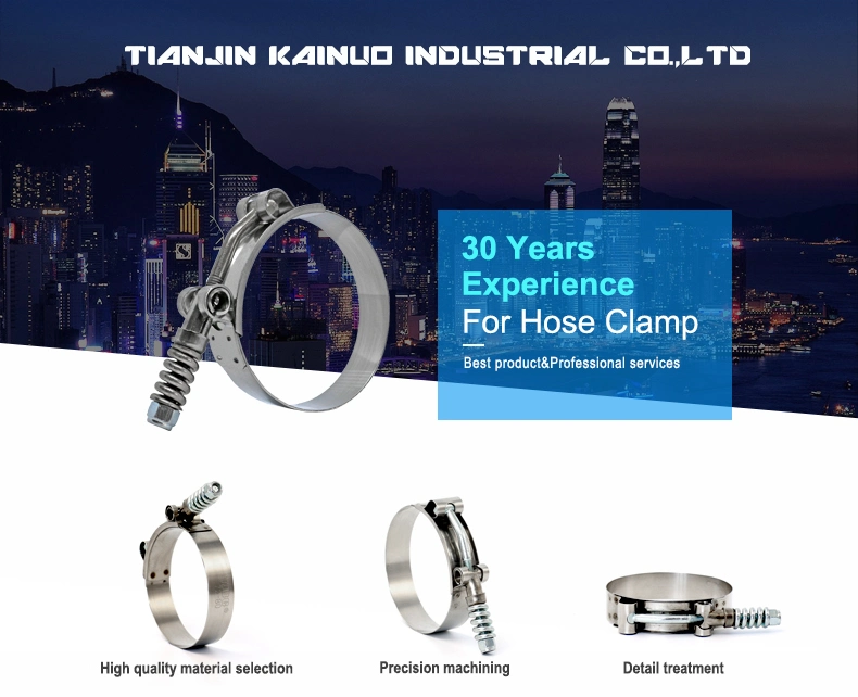 High Pressure Spring Loaded Stainless Steel Constant Tension T-Bolt Clamp for Turbo Automotive, Control Area 111-119mm