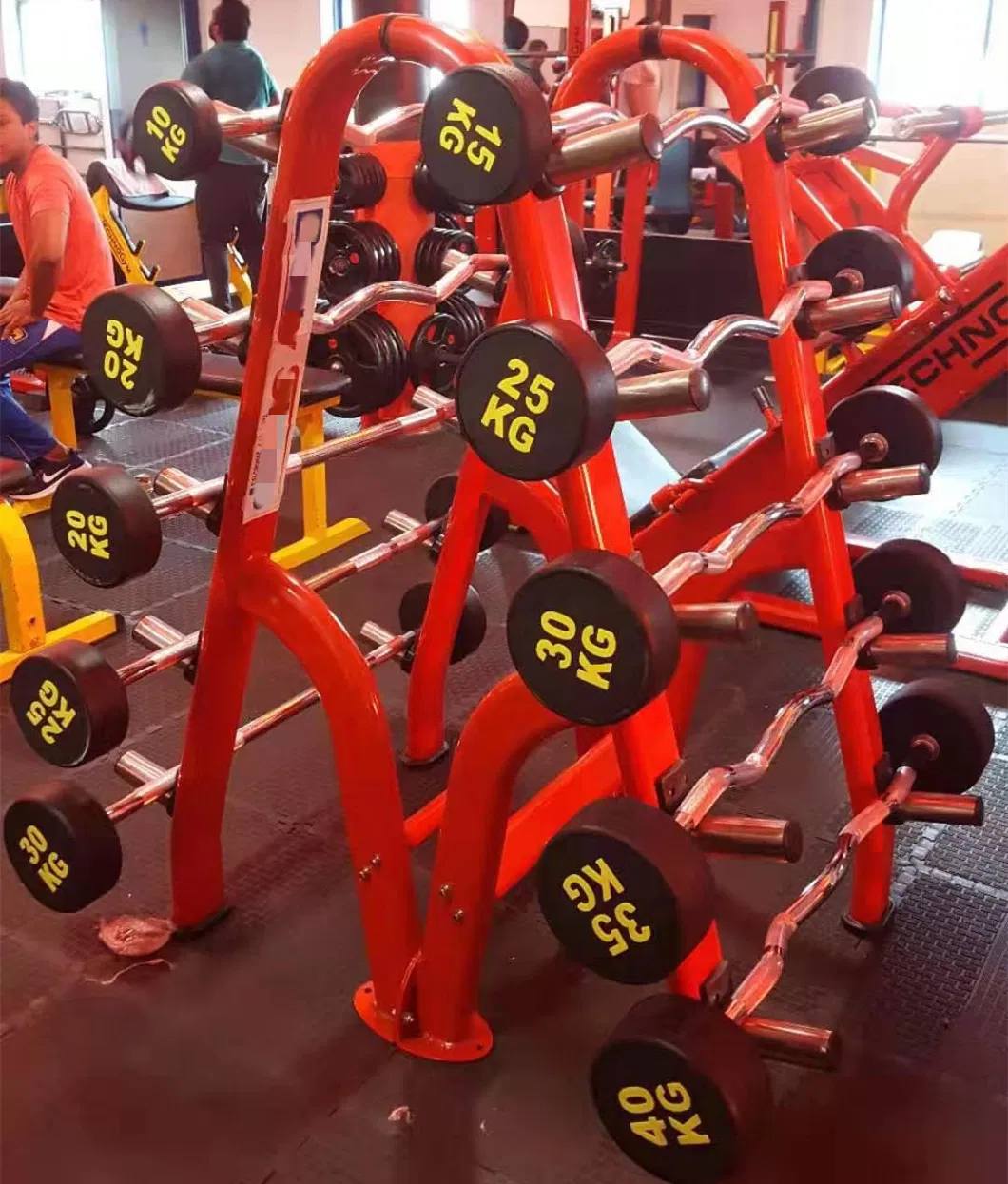 Gym Equipment Dumbbell /Barbell Rack (AXD-D53)