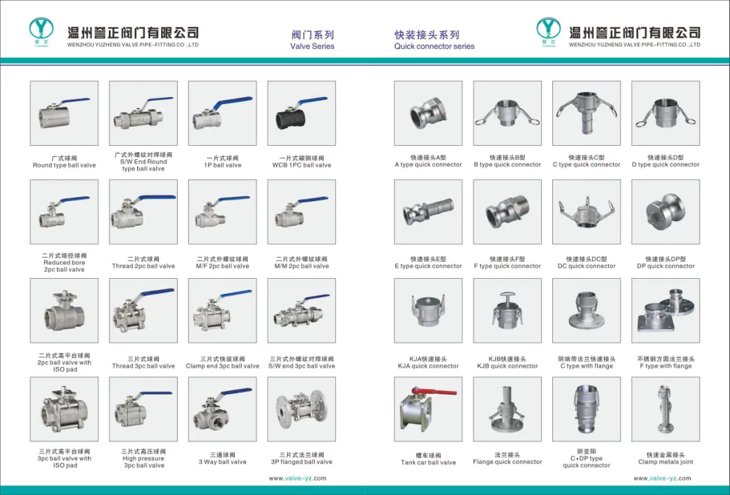 Stainless Steel 304/316 Quick Joint Type F with Bsp/BSPT/NPT