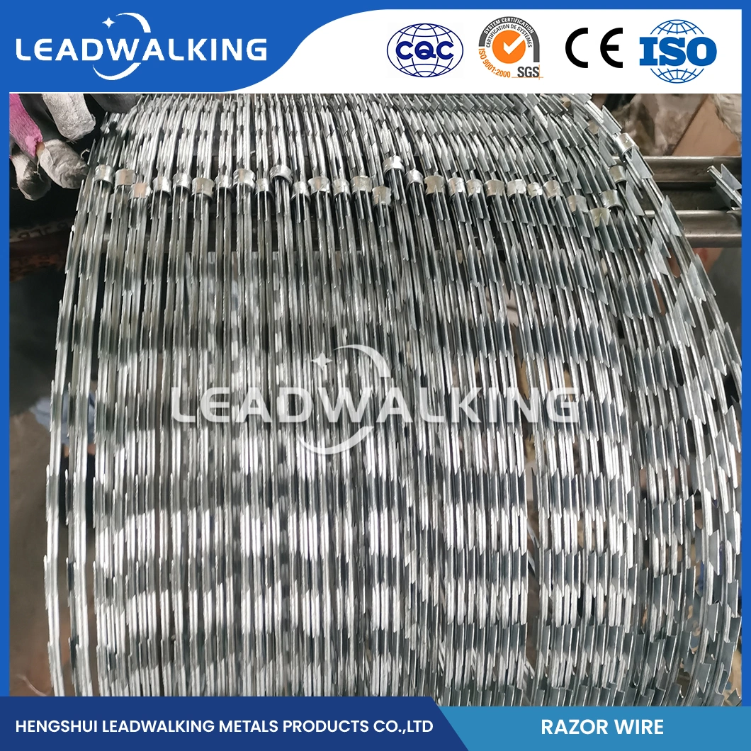 Leadwalking Tensioning Barbed Wire Manufacturing 19 Strands Steel Wire Galvanised Razor Barbed Wire China Bright Surface Cheap Razor Barbed Wire