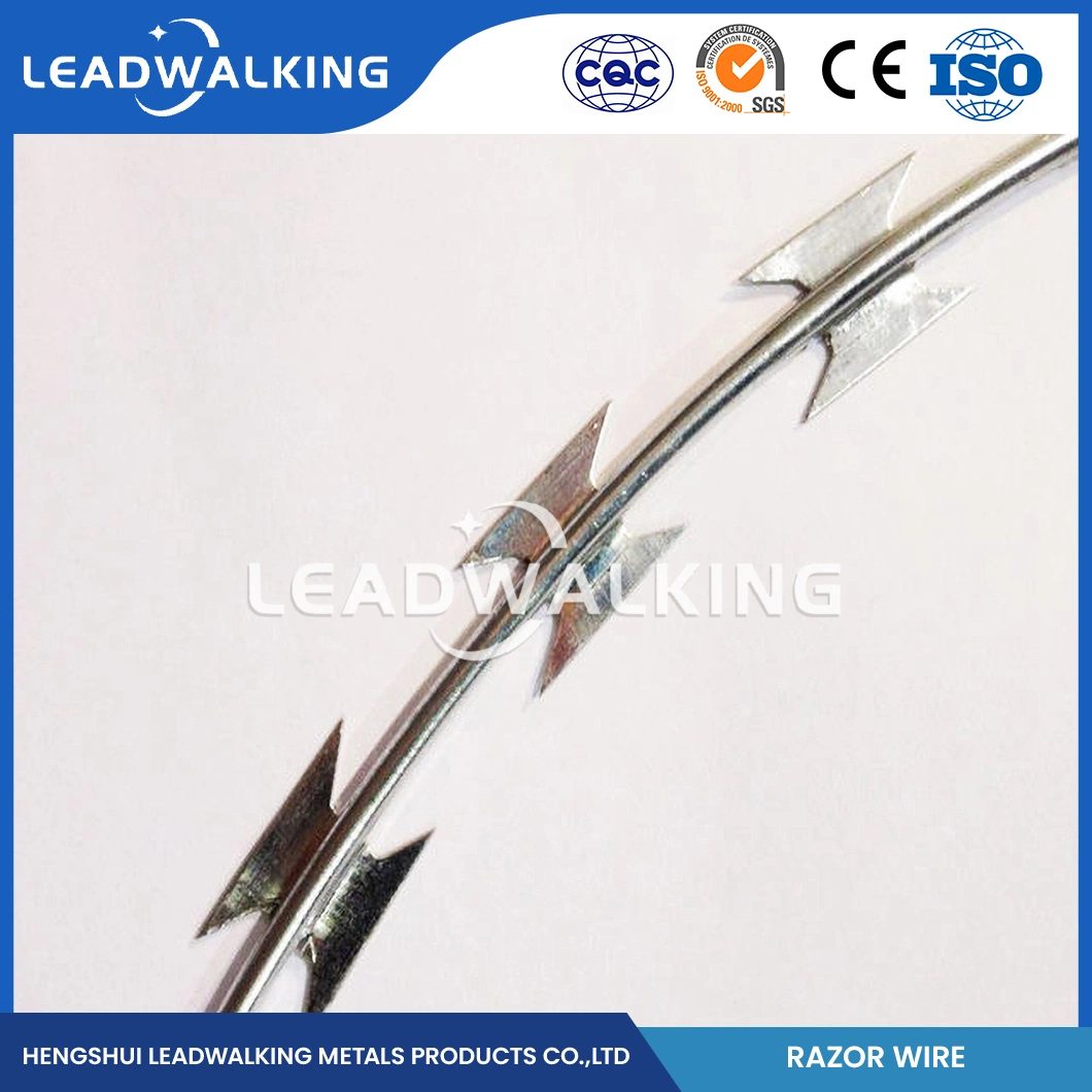 Leadwalking Tensioning Barbed Wire Manufacturing 19 Strands Steel Wire Galvanised Razor Barbed Wire China Bright Surface Cheap Razor Barbed Wire